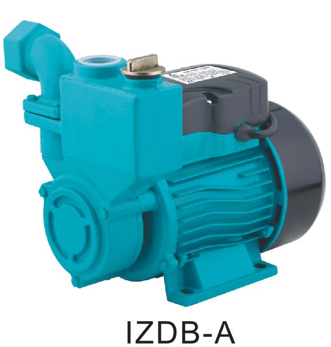 1WZDB(IZDB) 自吸泵
